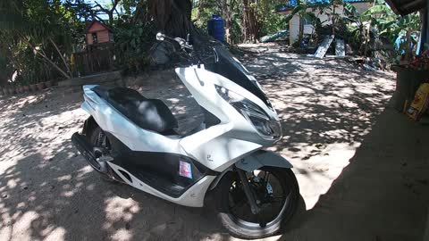 Honda pcx 150