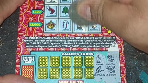 Daily Gamble for a Jackpot 0023