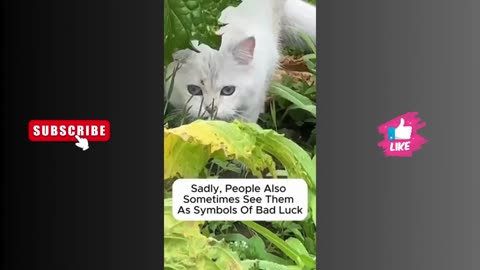 Next time please be kind to these poor fellas!