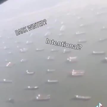 Stau der Containerschiffe in Südkalifornien