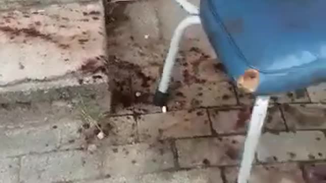 KZN robbers injure learners