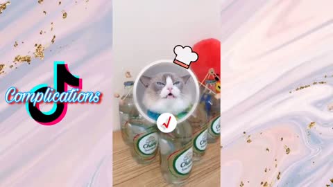 That little puff (new) Tiktok Complication
