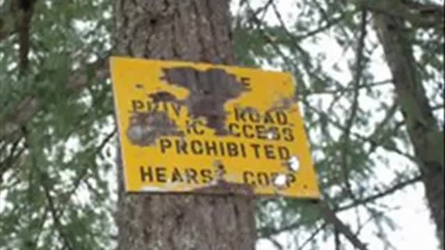 McCloud Petroglyphs Revealed