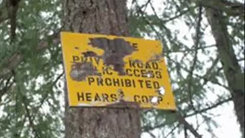 McCloud Petroglyphs Revealed