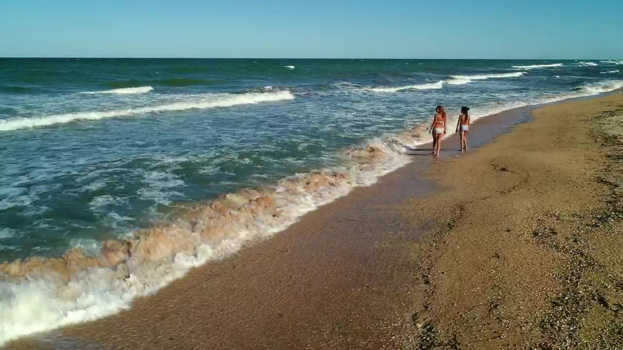 Female friends strolling on the seashore