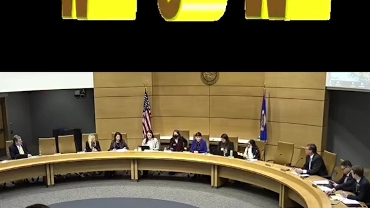 Minnesota Senate Shenanigans