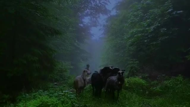 How would you feel if you came to such an environment?