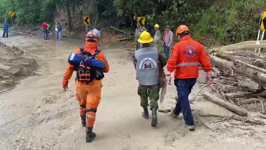 Perro sobrevive a la emergencia en Piedecuesta