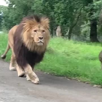 Energize your body now