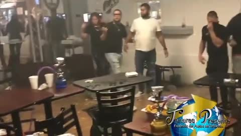 Wild Animals Stampede Through & Destroy Restaurant in Providence Rhode Island, 9/12/2022