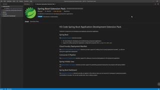 IPGraySpace: STE - install-spring-suite-tool