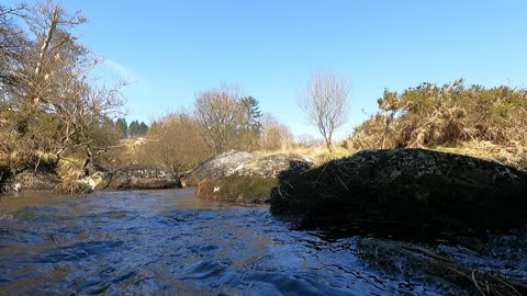 Beautiful river in Dartmoor.
