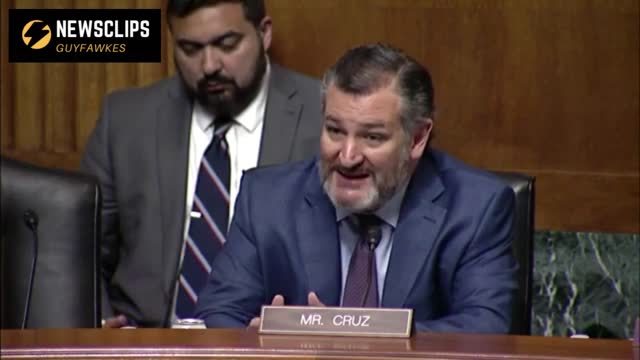 Senator Ted Cruz Questions Witness On Defensive Use Of Fire Arm By Women