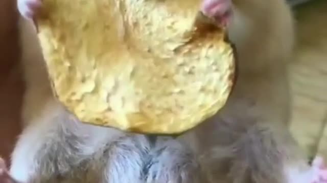 Amazing video Must watch