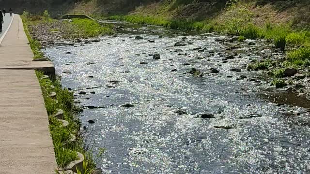 flowing stream reflecting sunshine