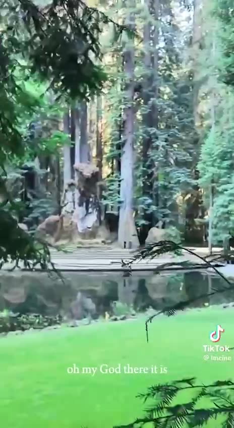 💥 Daylight Footage Of Bohemian Grove