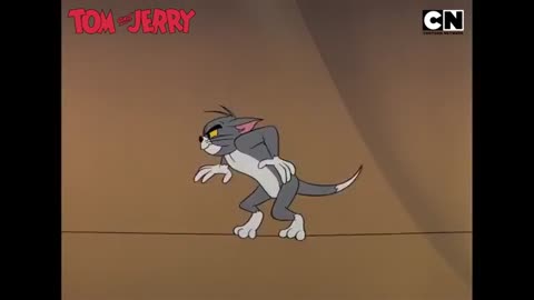 Tom & Jerry 😺🐭| Funniest Cat and Mouse Battle! 😺🐭| Compilation | Funny Cartoon Video