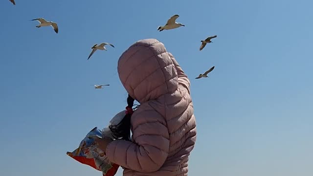 My daughter throwing snacks at the seagulls is so pretty