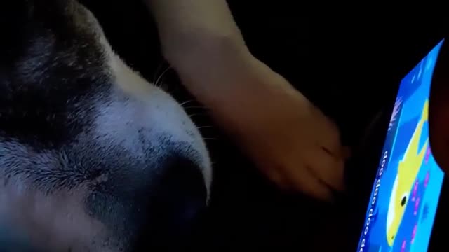 Playing some music to our Karma