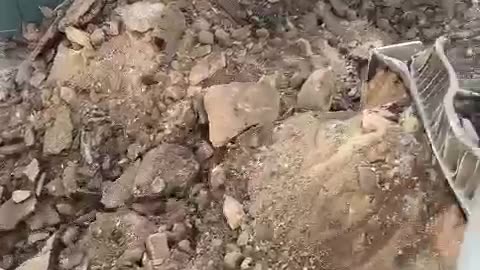 Zionist are going to take back Judea/Sumeria from the terrorist scum