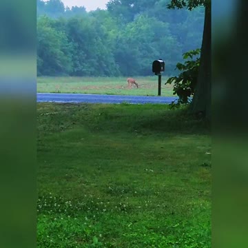 Moments In Nature~Morning Meeting