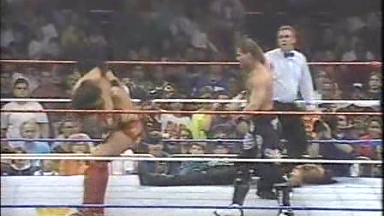 WWF Action Zone Oct 30 1994