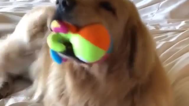 Did you miss me?