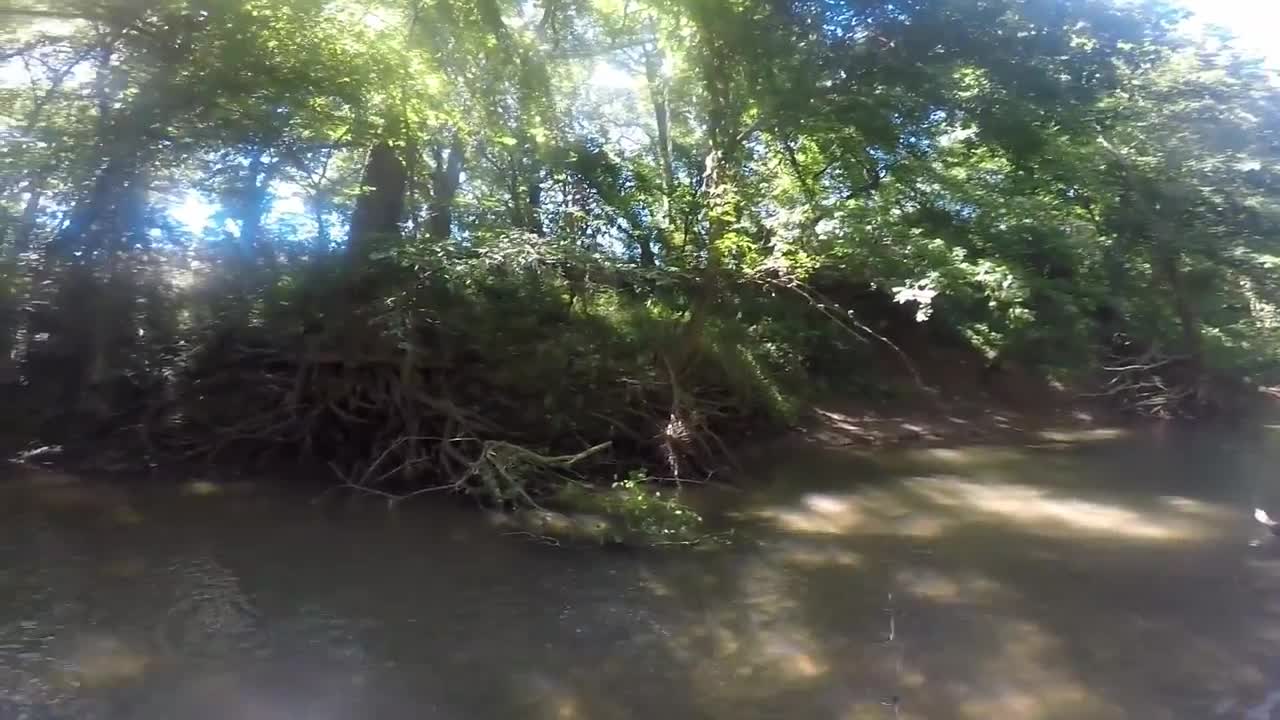 Creek Fishing - Harpeth River TN