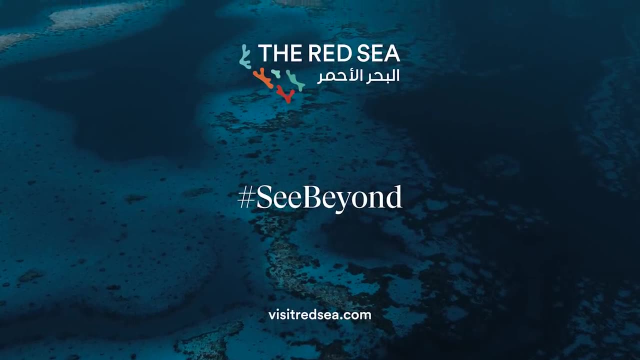 Red sea at its best view