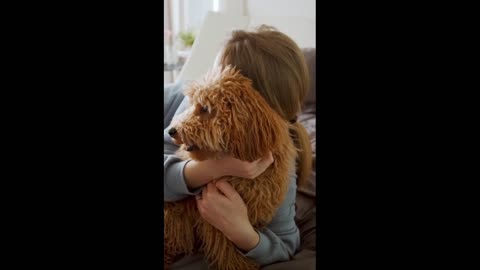 Cute Dog and Girl Combination