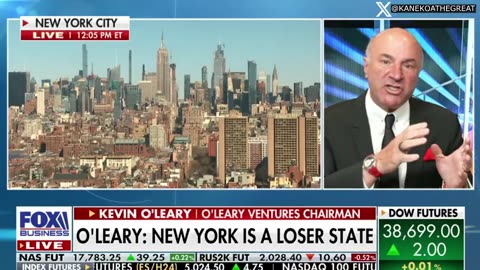 Kevin O'Leary "I would never invest in New York now! And I'm not the only one saying that!"