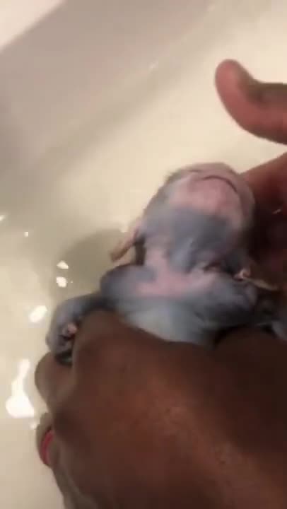 little animal likes to take a relaxing shower