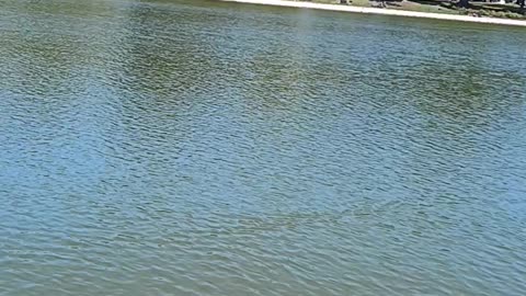 Kissena park