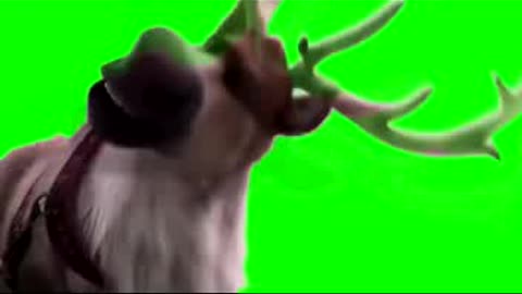 New Year's footage on a green background