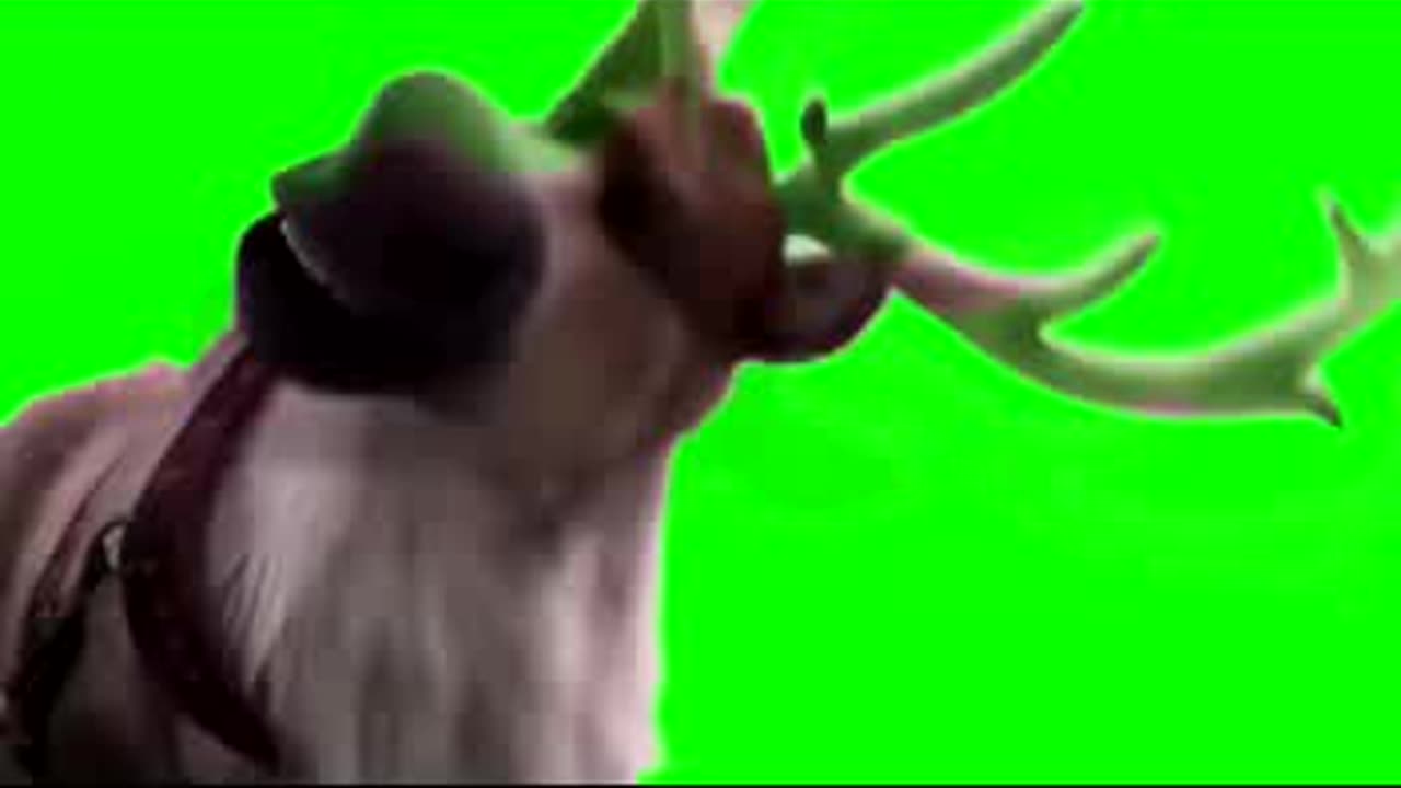 New Year's footage on a green background