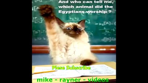 unny pets - cats dogs animals, amazing original song ♫ best free music