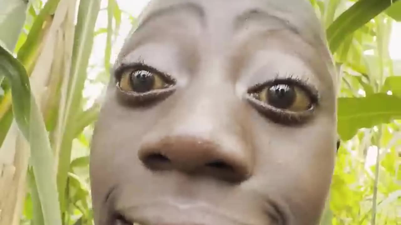 Funny video