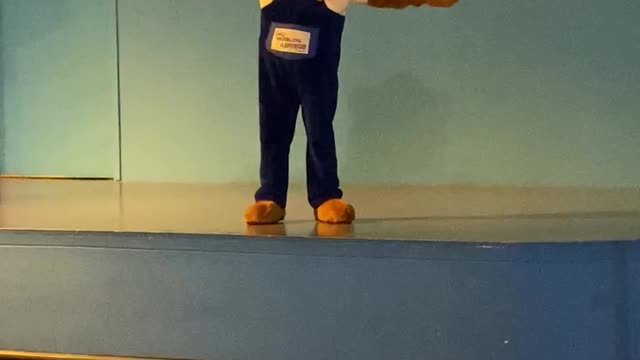 Funny cute teddy bear dancing on stage