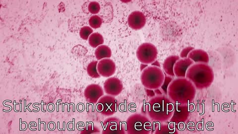 Hoge cholesterol verlagen op een natuurlijke manier met Recover-Me