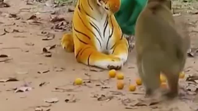 Wow fack tiger prank monkey must watch 2021