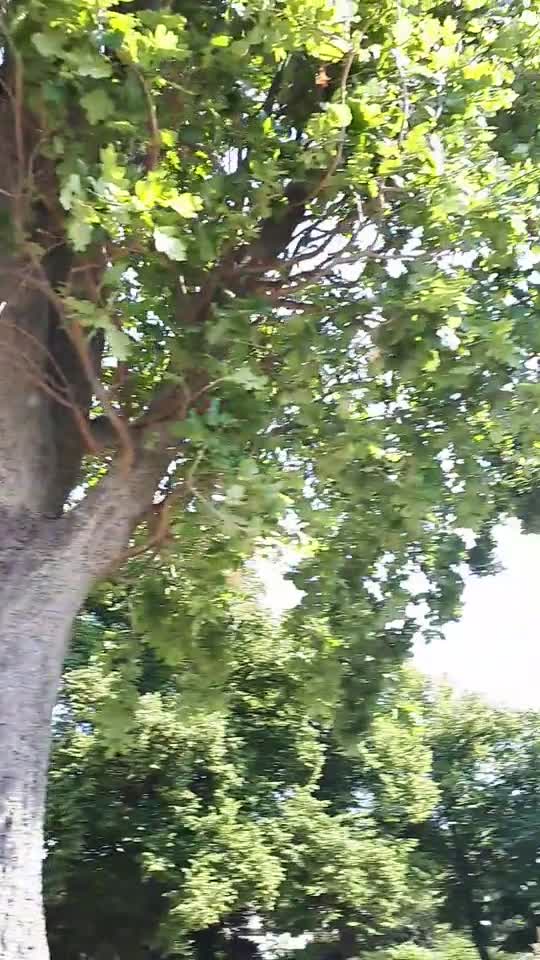 Himmel in Berlin am 11.08.2022 um 14:28 Uhr