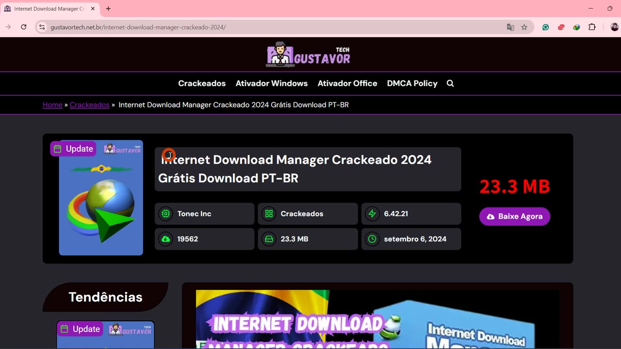 Internet Download Manager Crackeado 2024 Grátis Download PT-BR