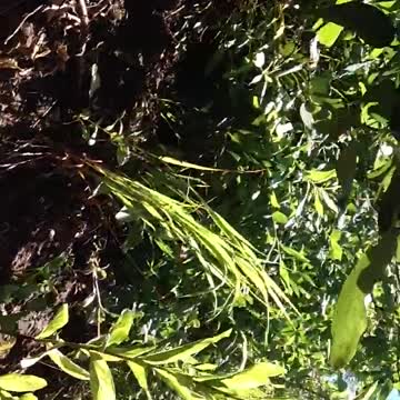 Teen Hiker Takes A Tumble