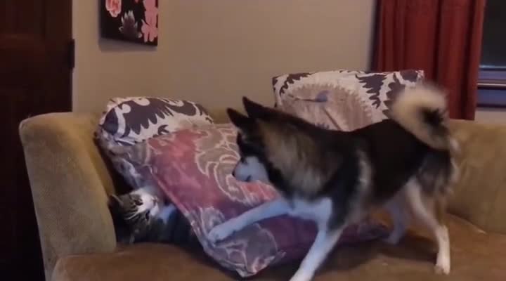 please wake up honey