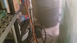 indoor green houses start day 1
