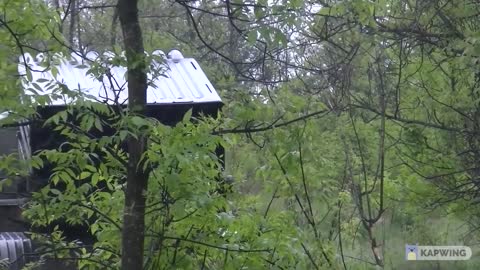 MLRS "Grad" fire up on Ukranian positions