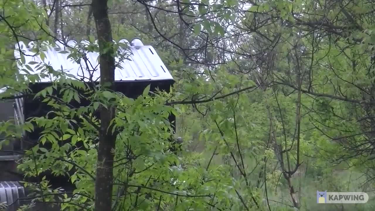 MLRS "Grad" fire up on Ukranian positions