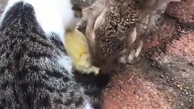 Here's your daily dose of cuteness 😍
