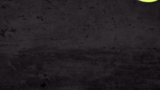 Patriots vs everybody