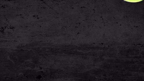 Patriots vs everybody